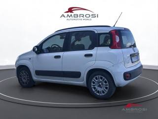 FIAT Panda usata 3