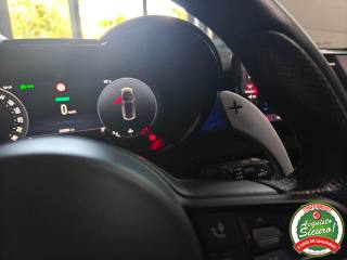 ALFA ROMEO Tonale usata, con Interni in pelle