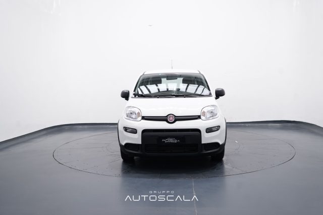 FIAT New Panda usata, con Airbag