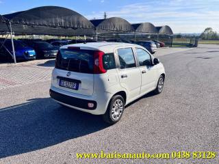 FIAT Panda usata, con Airbag Passeggero