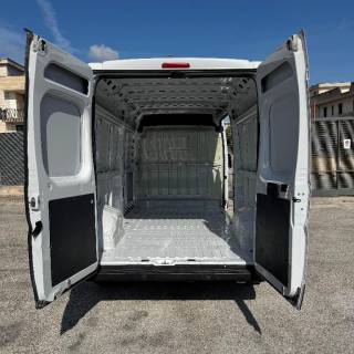 FIAT  usata 10