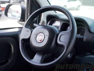 FIAT Panda usata 12