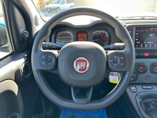 FIAT Panda Cross usata 56