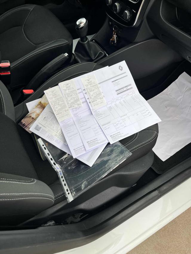 RENAULT Clio usata 17