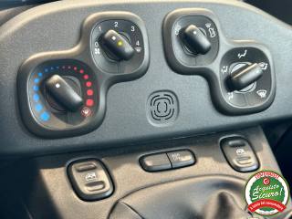 FIAT Panda usata, con Fendinebbia