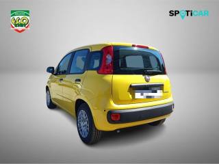 FIAT Pandina usata, con Chiusura centralizzata