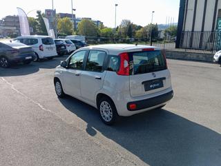 FIAT Panda usata, con Controllo trazione