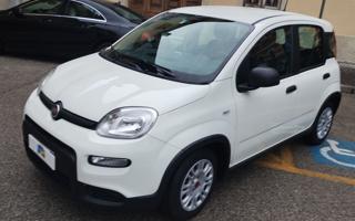 FIAT Panda usata, con Fendinebbia