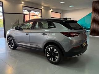 OPEL Grandland X usata, con Fendinebbia