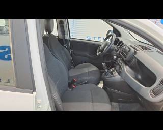 FIAT New Panda usata 16