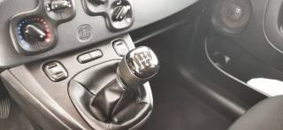 FIAT Panda usata 12