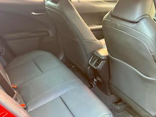 LEXUS UX 250h usata, con Airbag testa