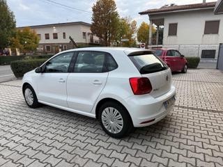 VOLKSWAGEN Polo usata, con Alzacristalli elettrici