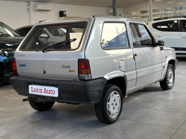 FIAT Panda usata 2