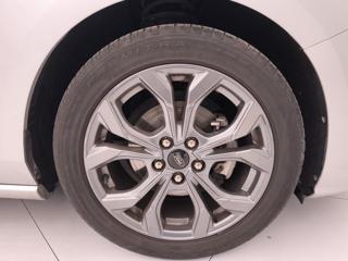 FORD Focus usata, con Supporto lombare