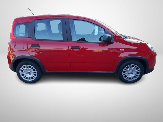 FIAT Panda usata, con Controllo trazione