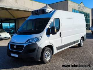 FIAT  usata 1