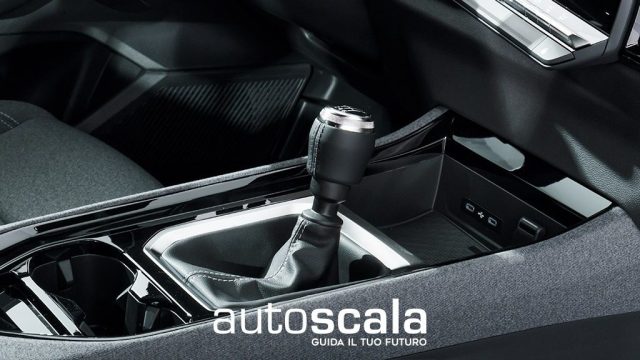 RENAULT Austral usata, con USB