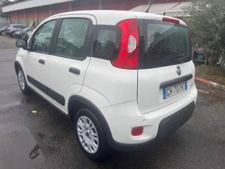 FIAT Panda usata, con Airbag laterali