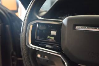 LAND ROVER Range Rover Evoque usata 131