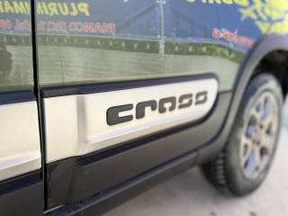 FIAT Panda Cross usata, con ESP