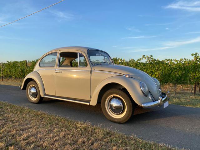 VOLKSWAGEN Maggiolino usata 2