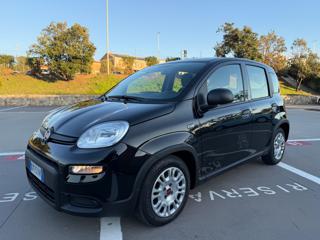 FIAT Panda usata 29