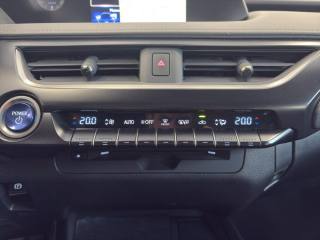 LEXUS UX 250h usata, con Fari LED