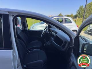 FIAT Panda usata, con USB