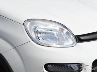 FIAT Panda usata 30