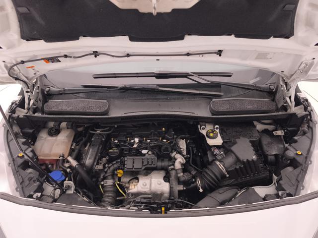 FORD Transit Connect usata 25