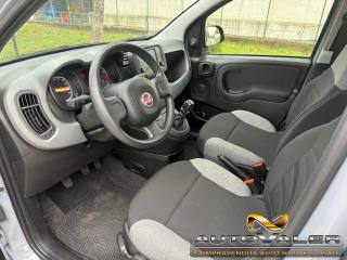 FIAT Panda usata, con Cronologia tagliandi