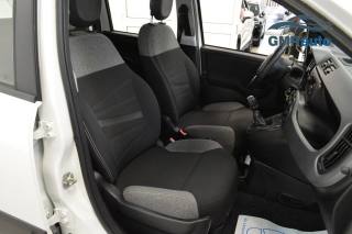 FIAT Panda usata, con Controllo trazione