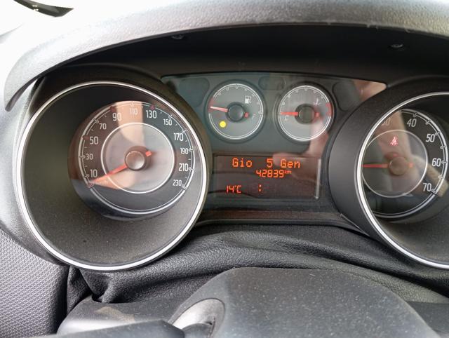 FIAT Punto usata 19