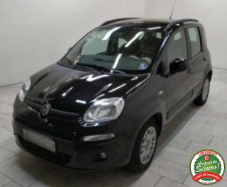 FIAT Panda 1.2 Lounge - PREZZO REALE