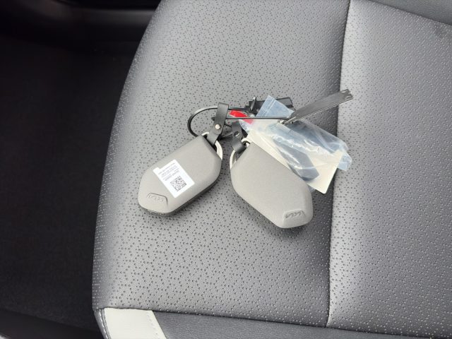 KIA Picanto usata 24