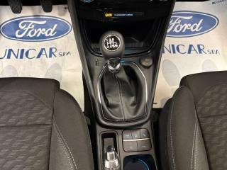 FORD Puma usata, con Vetri oscurati