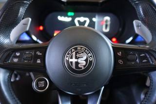 ALFA ROMEO Tonale usata, con Autoradio digitale