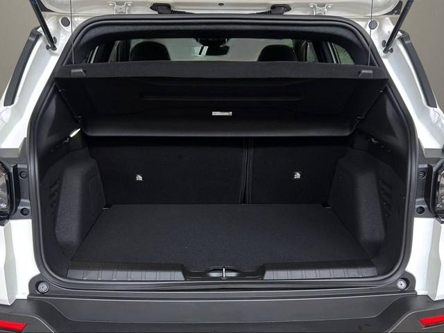 JEEP Avenger usata, con Boardcomputer