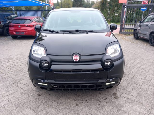 FIAT Panda usata, con Controllo automatico clima