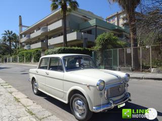 FIAT 1100 usata 7