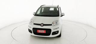 FIAT Panda usata 35