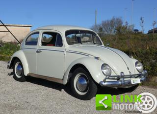 VOLKSWAGEN Maggiolino usata 2