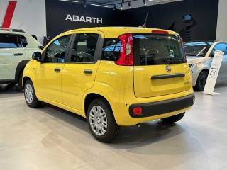 FIAT Panda usata, con Airbag Passeggero
