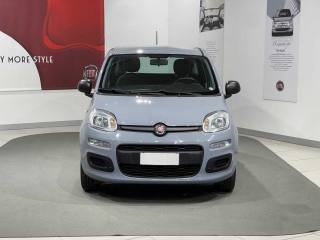 FIAT Panda usata, con Airbag
