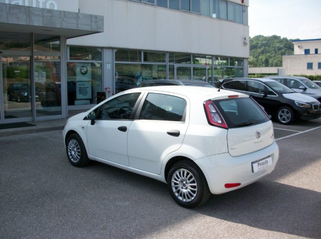 FIAT Punto usata 5