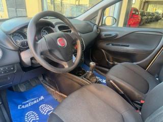 FIAT Punto usata, con Fendinebbia