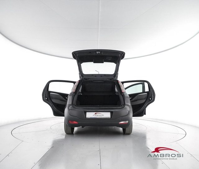 FIAT Punto usata 6