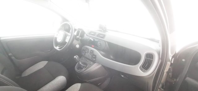 FIAT Panda usata 46