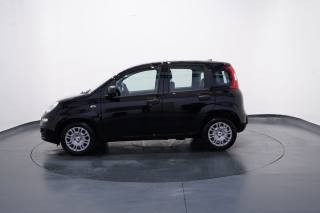 FIAT New Panda usata, con Airbag Passeggero